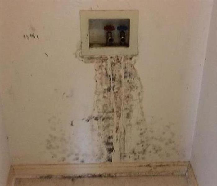 mold stained wall at plumbing access