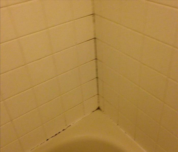 mold stains in walls of tub area
