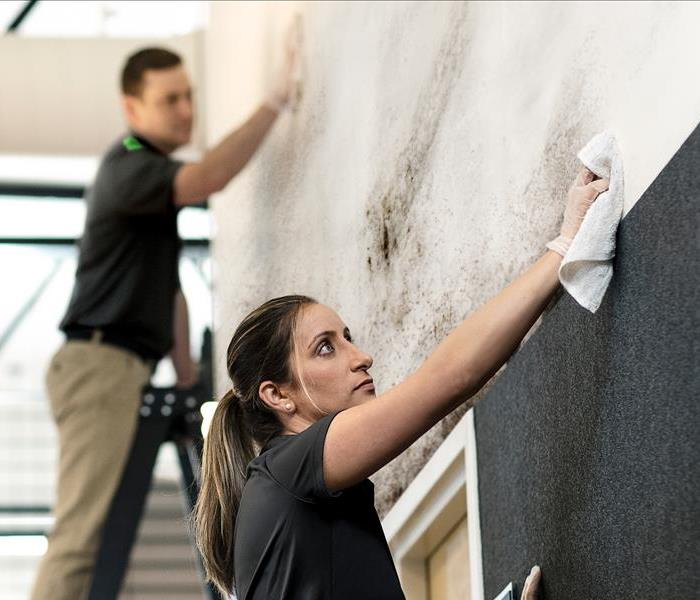Male and Female technician wiping molded wall with rag.